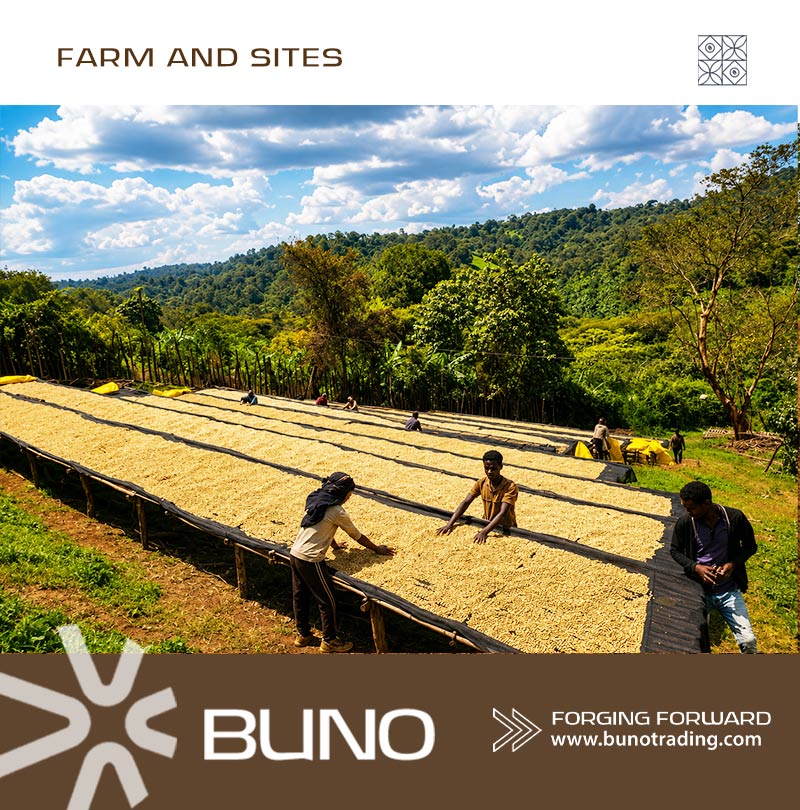 farm